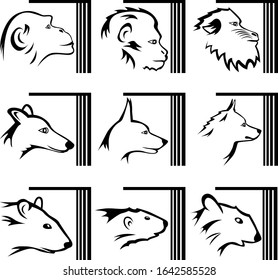 A set of nine illustrations about laboratory experiments on animals and keeping them locked up. Monkeys, dogs, rats, etc. Vector illustration.