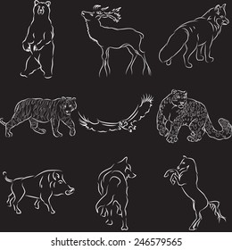 Set of nine kinds silhouettes of the animals on the black background