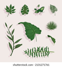 set of nine leaves plants
