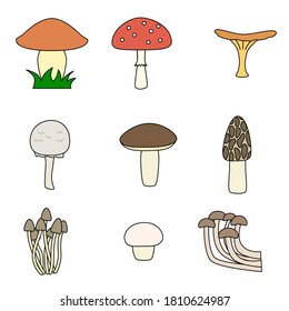 Set of nine mushrooms. Childish cartoon style. Vector illustration isolated on white background.