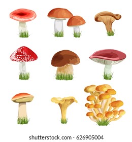 set of nine mushrooms with grass
