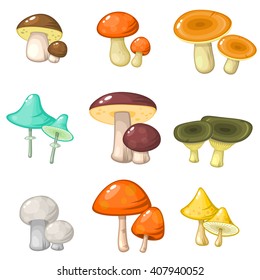 Set of nine pairs of various forest mushrooms isolated over white