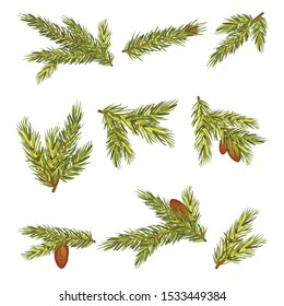 Set Of Nine Realistic Spruce Twigs With Cones Vector Illustration