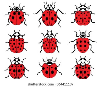 Set of nine red ladybugs, vector