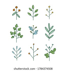 Conjunto de nueve ramas florales simples dibujadas a mano, ilustración vectorial aislada
