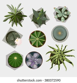 Set of the nine succulent plants growing in cute pot.  Hand drawn textures. For your design, mood boards and posters. Gray background. Stock vector.