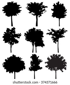 Set of nine trees vector silhouette,  black shadow plant flat icon,  grey symbol forest isolated design, gray jungle botany shape outline,  wild icon cartoon tattoo.