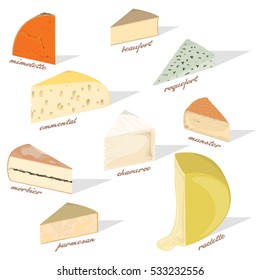 set of nine varieties of cheese