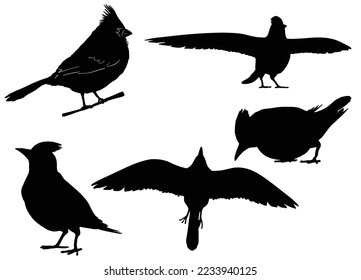 set of Northern cardinal birds, a cardinal bird black and white logo and silhouette on a white background, vector illustration