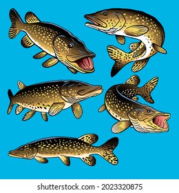 Set of Northern Pike fish for gamefish bundle collection