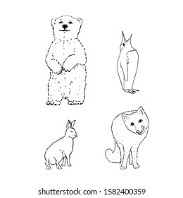Set of northern winter animals: bear, penguin, rabbit, fox. Black outline on white background. Picture can be used in greeting cards, posters, flyers, banners, logo, further design etc. Vector