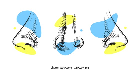 Set of nose in pencil art style. Creative yellow and blue color. Vector illustration design.