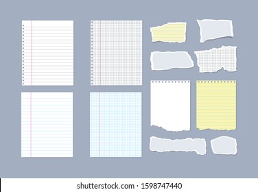 Set of notebook pages and pieces of torn notebook paper. Vector illustration