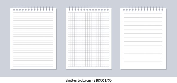 Set of notebook papers, blank sheets of square and lined paper isolated on a gray background. Vector illustration.