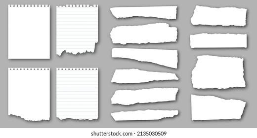 Set of notebook torn pages and pieces of ripped sheets of paper for notes. Vector illustration