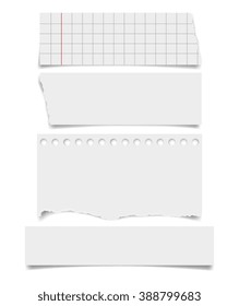 Set of  notepaper sheets with shadow isolated on white background. Squared and lined notebook page wit ragged edges. Torn ragged paper pieces. Realistic vector illustration of paper pieces.