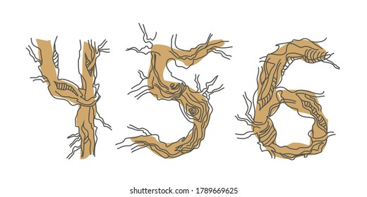Set numbers 4, 5, 6. Decorative font from tree roots. Environmental design. Nature typography