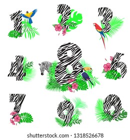 set of numbers with Zebra texture, tropical leaves and Toucan, parrot, vector illustration