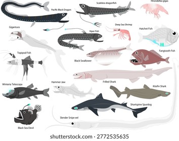 A set of numerous illustrations of deep-sea fish without outlines.

