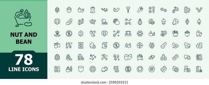 Set of nut and bean line icons. Containing seeds, bean, nut, cashew, hazelnut, snack and more. Minimalist editable vector stroke. Outline icon. Vector illustration in modern line style.