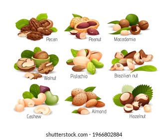 Set of nut compositions, different statements. Good for labels and stickers, packaging design. Vector illustration in cartoon style, groups of objects, isolated on white