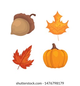 set of nut and pumpkin with leaves plants