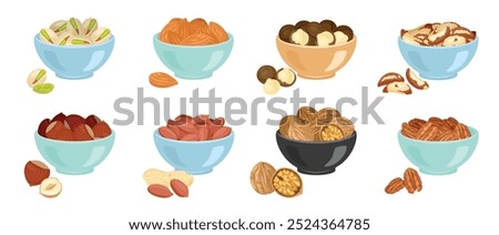 Set of nuts in bowls. Almond, macadamia, brazil nut, hazelnut, peanut, walnut, pecan and pistachio. Vector cartoon flat illustration