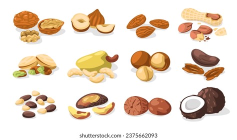 Juego de nueces. Cernels de nueces coloridas de dibujos animados, comida orgánica saludable de tentempiés para comida vegetariana, comida vegana. Colección aislada de vectores. Delicioso anacardo, avellanas, almendras y pistacho