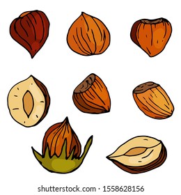 Set of nuts in a cartoon style. Hazelnuts collection on isolated white background. Organic, Vegan Product