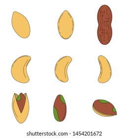 Set of nuts in cartoon style. peanut, pistachio, cashew  icons for design and web isolated on white background.