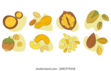 Set of nuts. Collection of healthy products, food for vegetarians. Diet, weight loss, health care. Walnuts, macadamia, hazelnuts. Cartoon flat vector illustrations isolated on white background