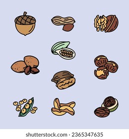 Ilustración de líneas planas recortadas de nueces
