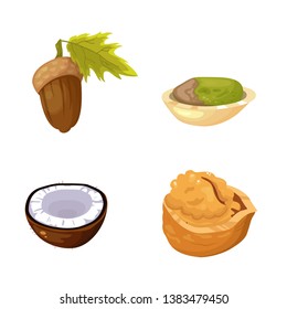set of nuts of different vector illustrations