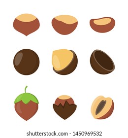Set of nuts in flat style. chestnut, macadamia and hazelnut icons for design and web isolated on white background.