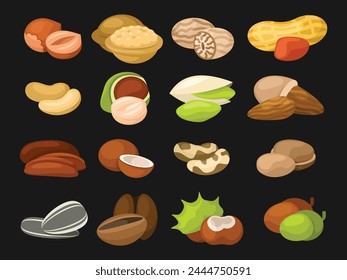 Set of nuts icons. Hazelnut, Walnut, Nutmeg, Peanut, Cashew, Macadamia, Pistachios, Almond nut, Pecan, Coconut, Brazilian nut, Pine nut, Acorn, Chestnut, Sunflower seeds and Coffee bean. Vector graphi