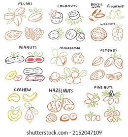 Set of nuts icons. Outline vector illustrations on white background.