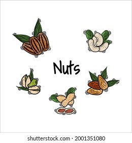 Conjunto de nueces con hojas. Conjunto de anacardos, pecans, cacahuetes, almendras, ilustración de doodle vectorial pistachos, dibujo a mano, esbozo. Para las etiquetas, emblemas de los productos de la granja de envasado. dieta de Keto, vegetariano.