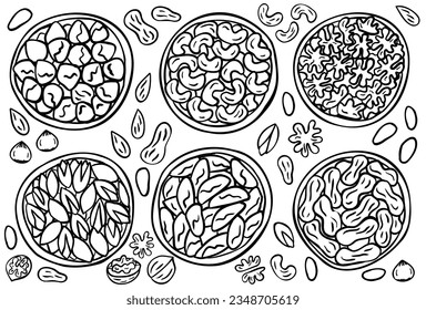 Establece las tuercas en un fondo blanco. Hazellanas, nueces de cajú, pistachos, nueces de brasil, nueces, maní. Colección de alimentos naturales saludables. Ilustración vectorial.