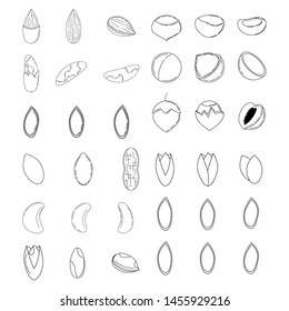 Set of nuts in outline style. icons for design and web isolated on white background.