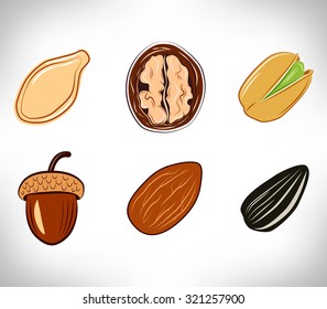 a set of nuts. The pumpkin seed, hazelnut, walnut, almond, sunflower seed, acorn, peanut and pistachio.