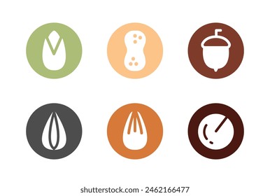 Set of Nuts and Seeds. Almond, Peanut, Acorn, Macadamia, Pistachio, Sunflower Seed. Cartoon illustration isolated.