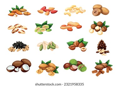 Conjunto de nueces, semillas al estilo de las caricaturas. Ilustración vectorial: almendras, cola, anacardos, nuez, nuez de sollo, pistacho, maní, macadamia, girasol, semilla de calabaza, avellana, nuez de pino, coco, nuez, castaño.