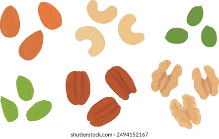 Satz Nüsse und Samen. Handgezeichnete Vektorillustration.  Mandeln, Cashew, Pekannuss, Walnuss, Pistazien, Kürbiskerne.