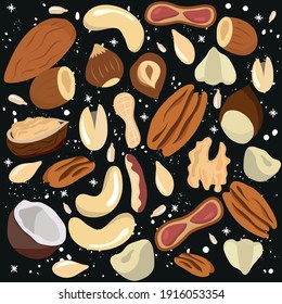 Set of nuts and seeds on a black background. Pecans, Brazil nuts, almonds, hazelnuts, pistachios, walnuts, cashews, peanuts, coconut, pumpkin seeds. Healthy eating. Snack.