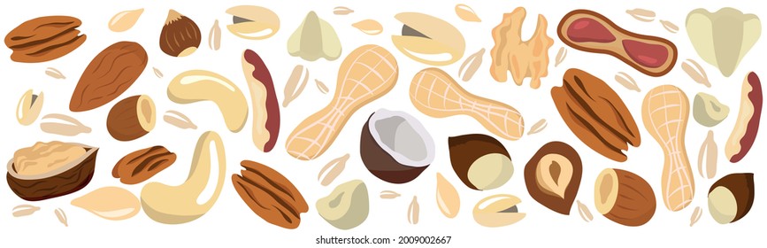 Set of nuts and seeds on a black background. Pecans, Brazil nuts, almonds, hazelnuts, pistachios, walnuts, cashews, peanuts, coconut, pumpkin seeds. Healthy eating. Snack.