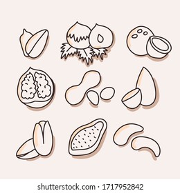 Set of nuts and seeds on an isolated background. Macadamia, hazelnuts, walnuts, sunflowers, pistachios, cashews, almonds. Nuts on a white background, doodles. Logo of a loyalist, website. Vector.