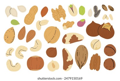 Satz von Nüssen und Samen auf weißem Hintergrund. Pekannuss, Paranuss, Mandel, Haselnuss, Pistazien, Walnüsse, Cashew, Erdnüsse, Sonnenblumen und Kürbiskerne. Gesunde Ernährung