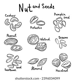 Set of nuts and seeds with text. Vector illustration. Almond, cashew	