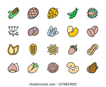 Set of Nuts, Seeds and Vegetables Flat Color Icons. Corn Cob, Hop Cone, Peas, Chestnut, Dill, Coconut, Walnut and more.