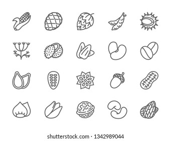 Set of Nuts, Seeds and Vegetables Line Icons. Corn Cob, Hop Cone, Peas, Chestnut, Dill, Coconut, Beans, Badian Grains, Acorn, Peanut, Walnut and more. Pack of 48x48 Pixel Icons